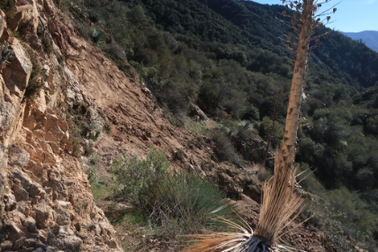 Almost down to the creek and we hit an area of trail that had been completely wiped-out by a small landslide. It's basically just loose sand with absolutely nothing to grab on to. Though it's probably less than 10ft across, there's just no way to safely get through it.