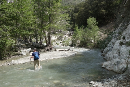 Dad's picture of me crossing.