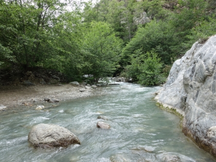 Almost Sierra-esque scenery.