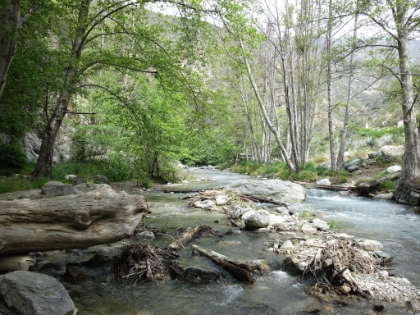 More beautiful river scenery.