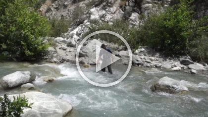 Who would want to pass this up?