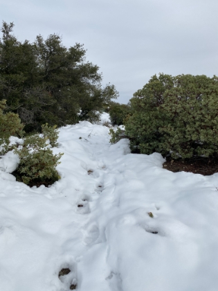 Getting into pretty solid snow coverage now.