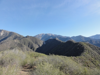 A look a the ridge the trail follows out to Allison Gulch and then up to Iron Mountain. You add up a lot of total elevation gain with all of the ups and downs along the ridge.