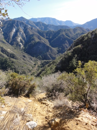 Looking down the trail in an attempt to capture just how steep it is in places. Unlike Cactus to Clouds, it's loose dirt and scree here, which makes for an extra challenging workout on the downhill.