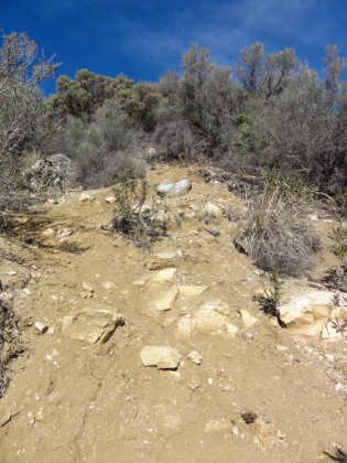 Another look at the trail. Here an almost 45 degree incline in the middle of a 2,000' mile. Possibly the steepest mile of trail in SoCal.