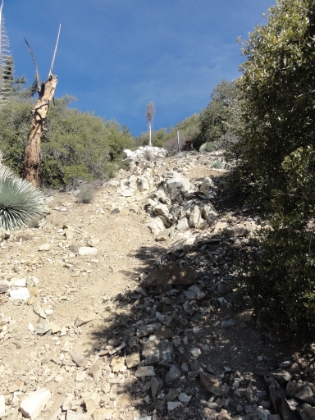 More crazy steep trail. As hard as it is cardio-wise going up, it's unquestionably physically harder going down.