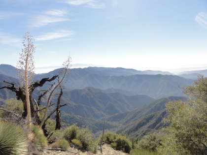 A long ways up from the ridge trail below.