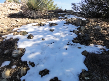 First signs of snow at around 6,000'.