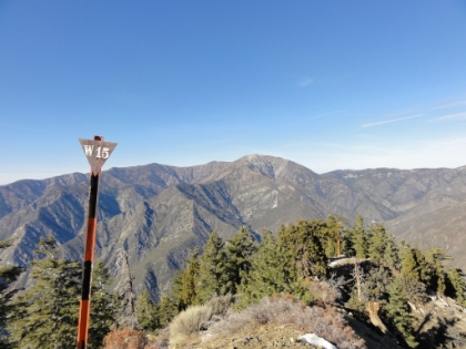 Made it to the top of Iron Mountain at 8,007'.