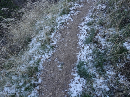 There had been an unusual snow storm two days earlier. Not a heavy snow, but the lowest snow level in years (down to 2,000'). I expected Iron Mountain to be a full on snow trek, but the snow was almost entirely gone already by the time I got there. There are signs of snow though at about 3,500'.