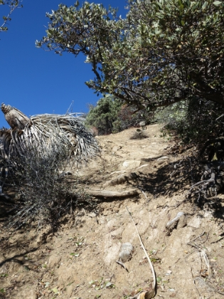 I'm not sure why I still bother taking pictures of this trail. They  never  come close to depicting this steep and technical section, which is roughly a 2,000' mile.