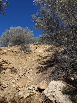 Probably about a 45deg slope.