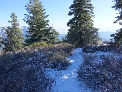 Almost to the summit and the snow is getting heavier. But still nowhere near enough to require snow gear. I dumped my ice axe, crampons, gaiters, etc. further down the trail to save weight. I definitely didn't end-up needing them today!