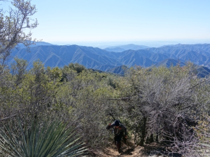 Dad climbing through the chapparal.