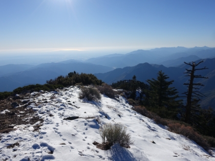 View from the top towards the ocean.