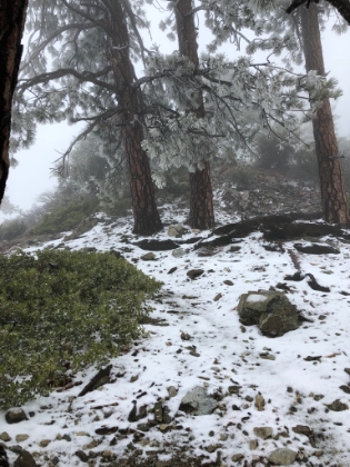 Starting to get into pretty consistent patches of snow now. I ran across a pair of guys coming down, decked out in heavy snow gear. They were the only humans I saw all day, and I was the only one they had seen. They said they had turned around below the summit because of the freezing winds and blowing snow. That gave me a little pause, especially since I was in much lighter gear, but I pressed on. And now I definitely knew I would have the mountain to myself for the rest of the day!