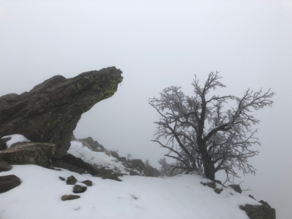 This rock always means the long climb is almost over. Less than 1,000' to go. I hadn't planned on going this far, but I was feeling pretty good, so I kept pressing on.