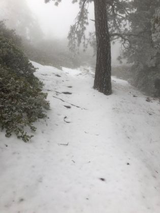 Almost solid snow the rest of the way now. And zero footprints, so noone has been up here since the storms rolled-in over the last few days.