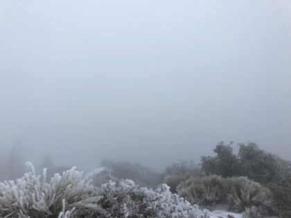 The beautiful view of Mt. Baldy is right there.