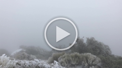 360 "view" from the top.