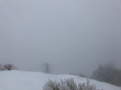 And the ocean is out there. Somewhere.