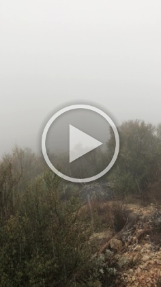 And now back down into some blowing sleet. I much prefer the snow.