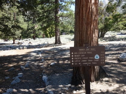 Hitting the trail just after 11:00am at right around 6,000'. A late start, but it was going to be a quick day (or so I thought). The temps at the trailhead were in the low 90s. I was the only car in the parking lot, so it looked like I may have the trail to myself today.