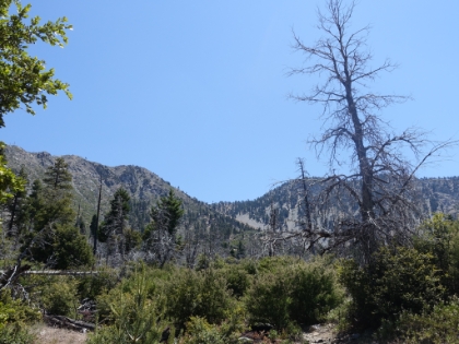 A look up at Windy Gap. Still a long ways to go.
