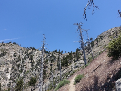 Almost up to the gap.