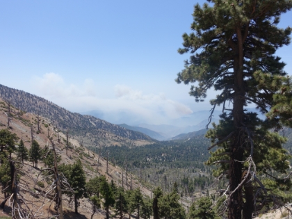 Made it to Windy Gap at 7,588'. Smoke from the fires is starting to fill San Gabriel Canyon. So much for clear views today.