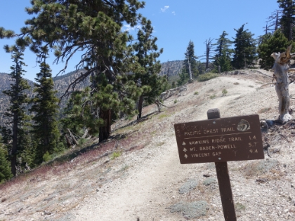 On the PCT now. It was somewhere around here that I can ran across the only person I saw on the entire trail. It was a PCT thru-hiker heading North. He had just come up and over Mount Baden-Powell in the heat, was not looking too good, and was really low on water. I gave him a little bit of water from my pack bladder, which I was happy to do at the time. Turns out I would miss it later in the day.