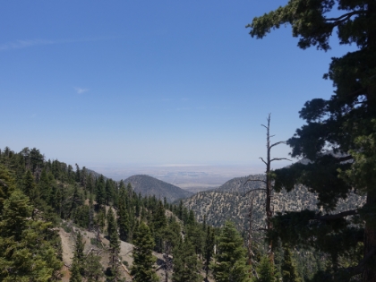 A look to the other side of the gap, unaffected by the smoke.