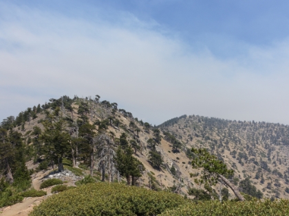 Up and down the humps of the ridgeline.