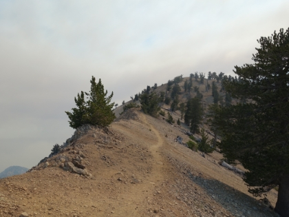Approaching the Mount Baden-Powell summit.