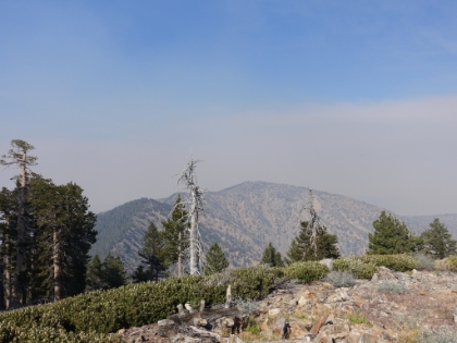 And here's a look back at Mount Baden-Powell from the Mt. Burnham summit. The use trail was pretty hard to follow, but I eventually made it back down to the PCT.