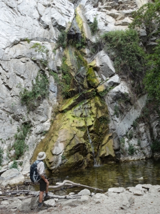 Early July in a record dry year means Sturtevant Falls is almost dry. But the 80ft moss stripe is still pretty cool.