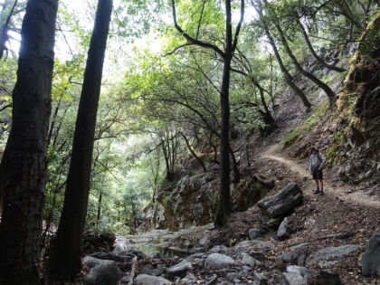 Mt. Wilson- San Gabrielino and Rim Trails