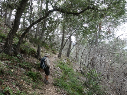 Heading out on the Rim Trail.