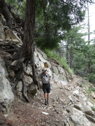 I always love the unusual trees.