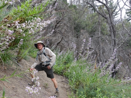 More color along the trail.