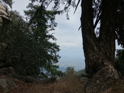A look South over the ridge to the city far below.