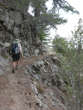 Some awesome single track along the way. It gets pretty narrow and washed out in places. Just the way I like it!
