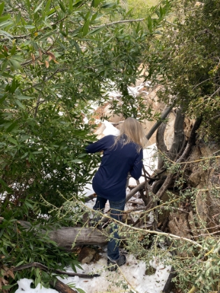 Overgrown, just the way we like it.