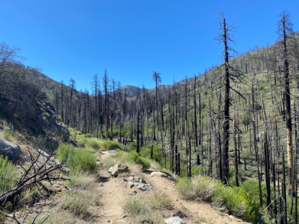 Burnt out, but still beautiful in its own way.