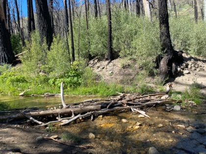 Crossing Fish Creek.