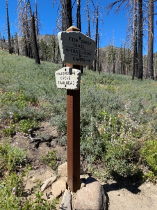 This is where my Dad and I got briefly lost last time I was here. There's a sign now, but it's still pretty confusing.