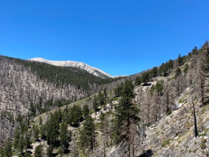 Starting to climb out of the burn zone.