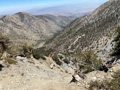 Looking down the valley.