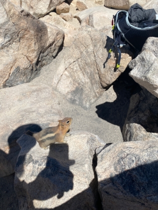 Don't even think about it dude...