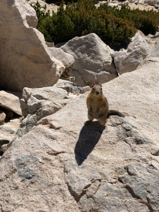 This guy was very photogenic.